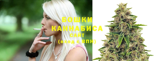 ГАЛЛЮЦИНОГЕННЫЕ ГРИБЫ Семилуки
