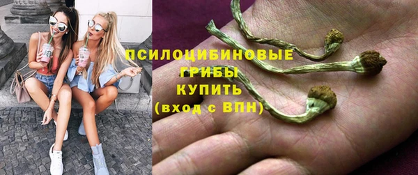 прущая мука Беломорск