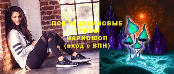 a pvp Богородицк